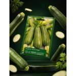 Graines de Courgette Verte d'Alger - Variété Productive pour Potager & Jardinage
