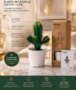 Plante Artificielle Cactus 6 cm - prise en main et utilisation pratique