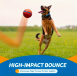 Balle de Jeu pour Chien - vue principale et présentation du produit