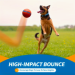 Balle de Jeu pour Chien - vue principale et présentation du produit