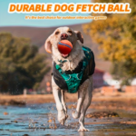 Balle de Jeu pour Chien - accessoires inclus et fonctionnalités