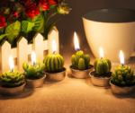 Lot de 4 Bougies Décoratives en Forme de Plante Succulente - vue principale et présentation du produit