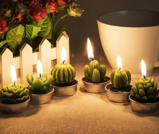 Lot de 4 Bougies Décoratives en Forme de Plante Succulente - vue principale et présentation du produit