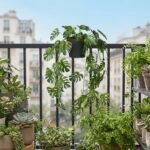 Plante Artificielle Monstera - vue détaillée et finitions de qualité