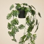Plante Artificielle Monstera - prise en main et utilisation pratique